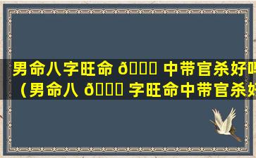 男命八字旺命 💐 中带官杀好吗（男命八 🍀 字旺命中带官杀好吗婚姻如何）